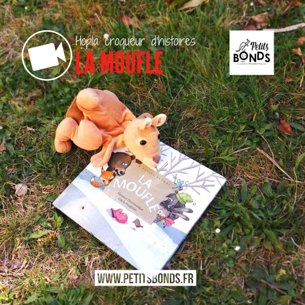 Hopla le kangourou et la moufle au théâtre de marionnettes et d'ombres chinoises Petits bonds