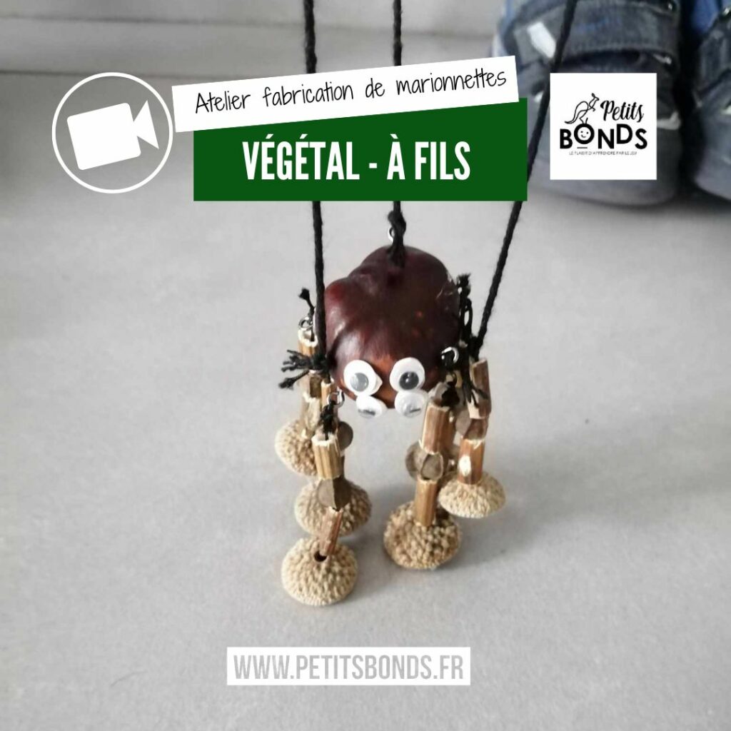 Hopla la marionnette kangourou de Petits bonds fabrique des marionnettes végétales à fils