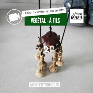 Hopla la marionnette kangourou de Petits bonds fabrique des marionnettes végétales à fils