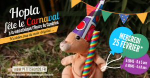 Hopla marionnette kangourou de Petits Bonds à la médiathèque l'Ancre de Condrieu pour le carnaval