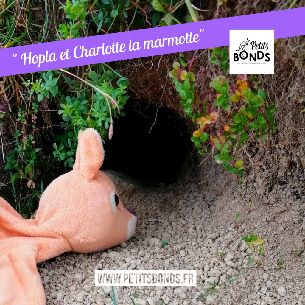 Hopla marionnette kangourou de Petits Bonds à la montagne avec charlotte la marmotte