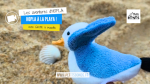 Les aventures de Ginette la mouette marionnette chez Petits Bonds à la mer